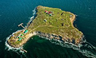 Сивков: ВС РФ были выведены со Змеиного, чтобы спасти жизни военных