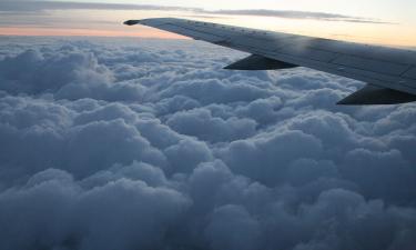 Волочкова прокомментировала инцидент в самолёте и назвала свои ноги священными