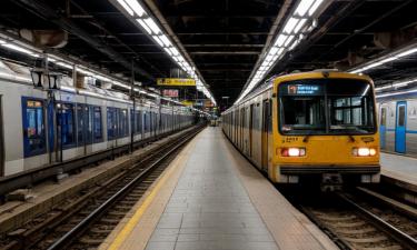 В Москве собаки передвигаются на метро по устойчивым маршрутам — очевидцы