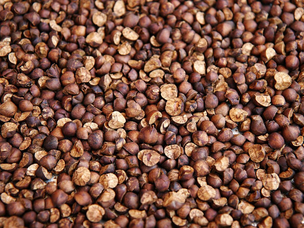 Мартовский рекорд: Россия увеличила экспорт гречки в Китай, но зерновые в минусе — почему