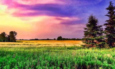 Турналог в России: почему механизм требует доработки