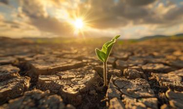 Около 37% видов могут исчезнуть к 2100 году из-за климата — NatureServe