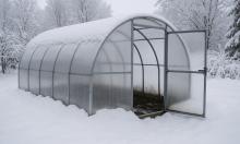 Теплица выглядит тёплой, но внутри опасно: зимой запускается процесс, который не видно сразу