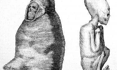 Тысячи глаз смотрели мимо: музейный экспонат хранил обман целое столетие