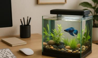 Тикающая бомба в вашей гостиной: аквариум превратится в ядовитое болото, если нарушить эти правила