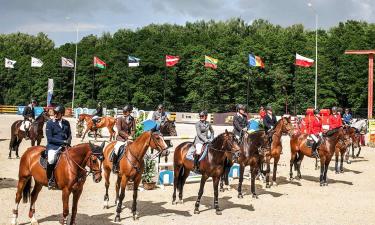 Конный спорт России: вернёмся ли на олимпийский пьедестал? Раскрыт секрет подготовки