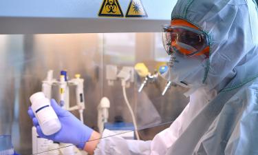 Отсутствие антител у людей делает пандемию птичьего гриппа опасной — Reuters