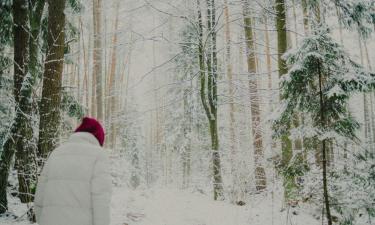 Алкоголь усиливает потерю тепла в холодную погоду — Santé publique France