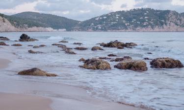 В Приморье начался сезон рождения детёнышей ларги — нацпарк Земля леопарда