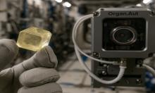 На МКС вырастили то, что на Земле почти невозможно получить — и это изменит медицину