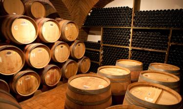 Пейзаж за окном, вино в стакане: два поезда пустят по маршруту гурманов с ноября