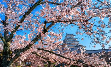 Россияне начали чаще бронировать весенние рейсы в Японию по данным Туту