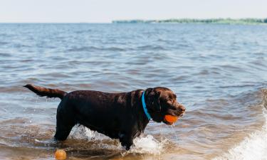 Поездка с собакой на озеро Гарда: когда всё пошло не так