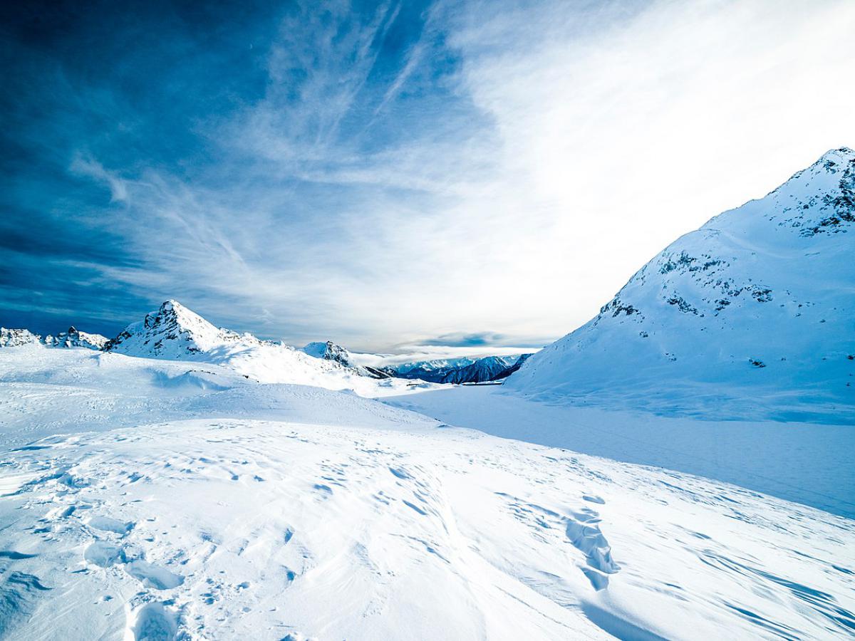 В Арктике и горах нашли бактерии с белками, реагирующими на ультрафиолет