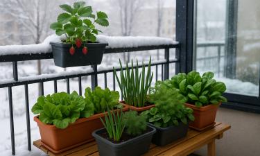 Архитекторы объяснили, как сделать открытую террасу комфортной круглый год