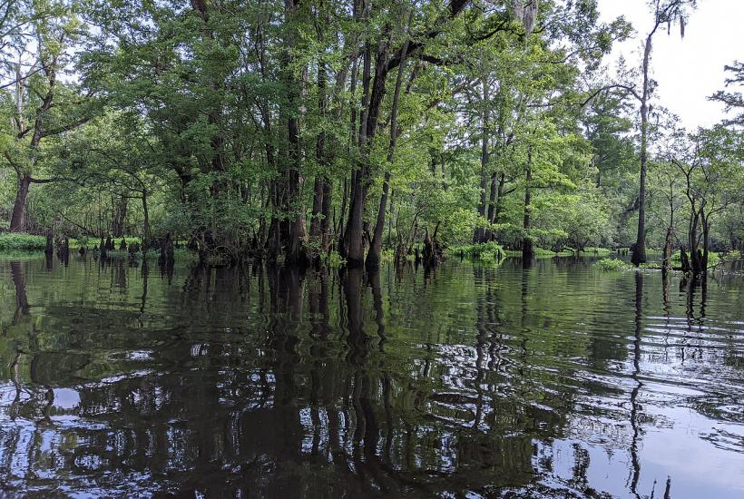 Тёмная река