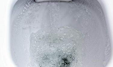 Застревание кнопки унитаза устраняется подпилом фиксатора