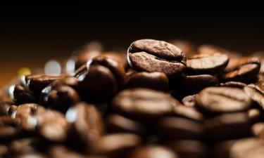 Гавайский кофе под давлением: как тарифы могут повлиять на фермеров