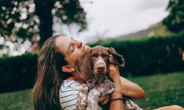 Собаки используют более 30 сигналов тела для коммуникации — "Белновости"