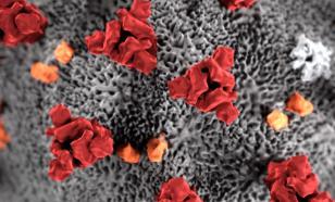 Доктор наук объяснил последствия мутации коронавируса