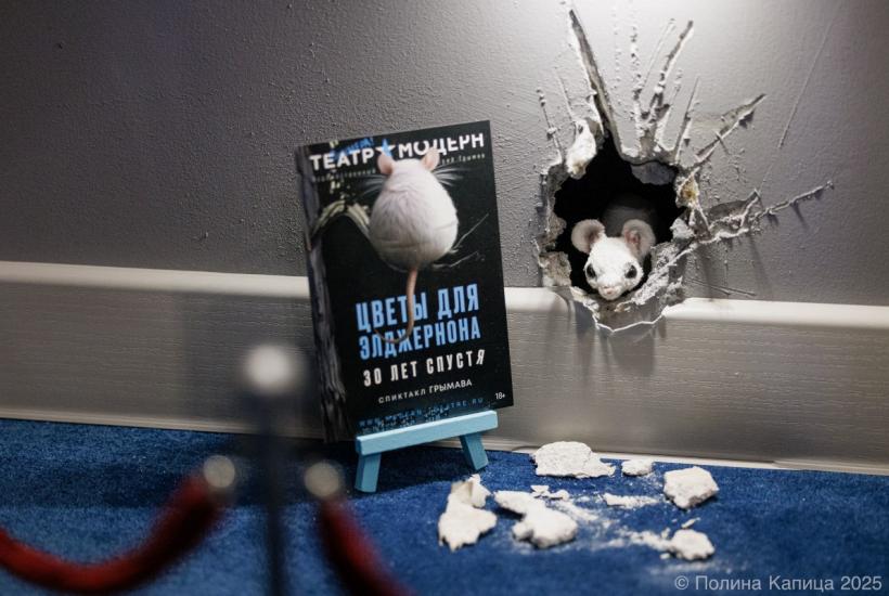 Инсталляция в холле театра Модерн к спектаклю Цветы для Элджернона. 30 лет спустя