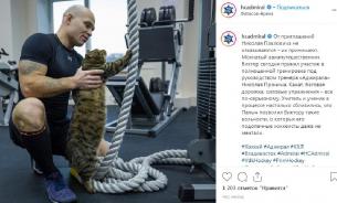 Толстый кот, которого не пускали в самолет, тренировался с "Адмиралом"