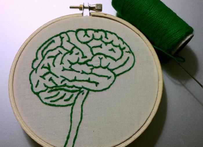 Nature: во время мечтаний мозг человека создает импульсы в зубчатой извилине