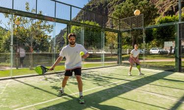 Падел-теннис стал одним из самых быстрорастущих видов спорта — тренеры