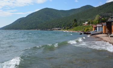 Сибирский тигр расправляет плечи: Иркутская область вырвалась в лидеры по темпам роста торговли