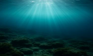 Взрывчатка кормит море: парадокс, который никто не ожидал