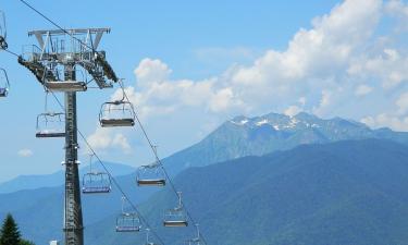 Пробки останутся под ногами: воздушная артерия над Обью свяжет берега Новосибирска навсегда