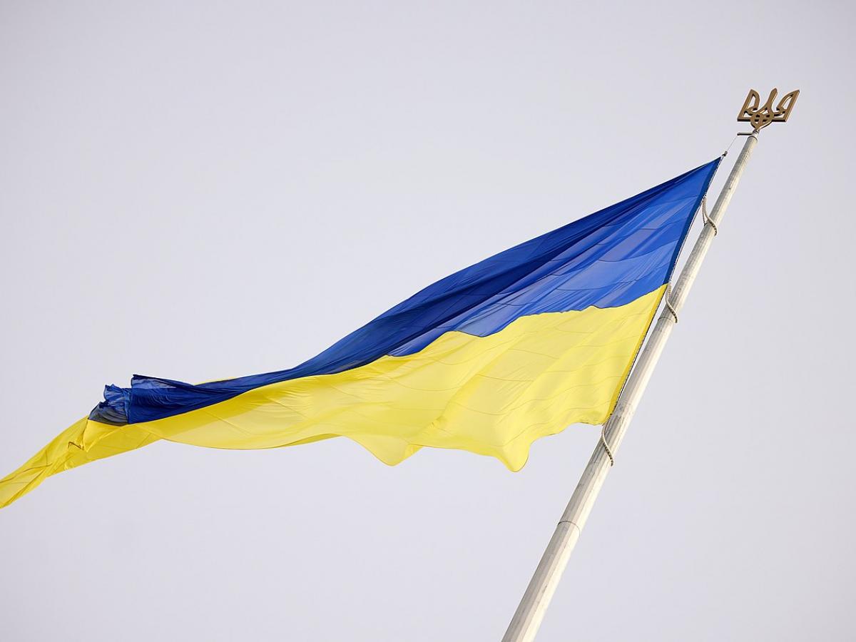 Киев затягивает переговоры, чтобы скрыть коррупционные скандалы — депутат Журова