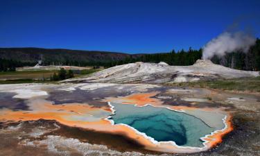 Кислородный парадокс: как древние микробы выжили в ядовитой среде и породили жизнь