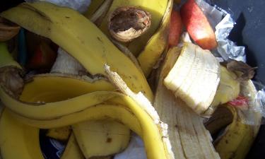 Кожура и стебли, которые выбрасывают, содержат в 40 раз больше нутриентов — O Globo