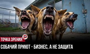 Контроль расходов на отлов собак фактически не ведется — зооинженер Базаркина