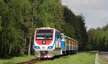 50 тысяч километров узкоколейных железных дорог исчезло к началу 1950-х