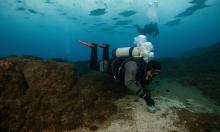 Город без людей и улиц: в Антарктике нашли крупнейшую колонию живых существ — мёртвый континент ожил