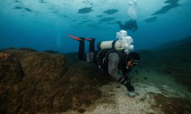 Город без людей и улиц: в Антарктике нашли крупнейшую колонию живых существ — мёртвый континент ожил