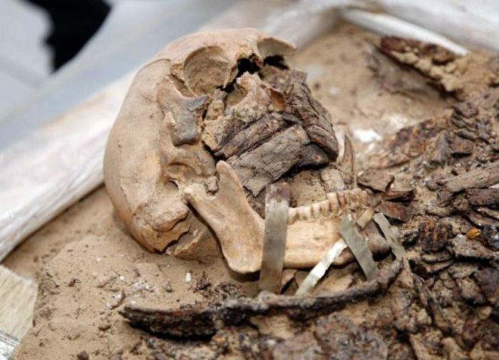 Live Science: учёные установили рост древних людей с острова Флорес