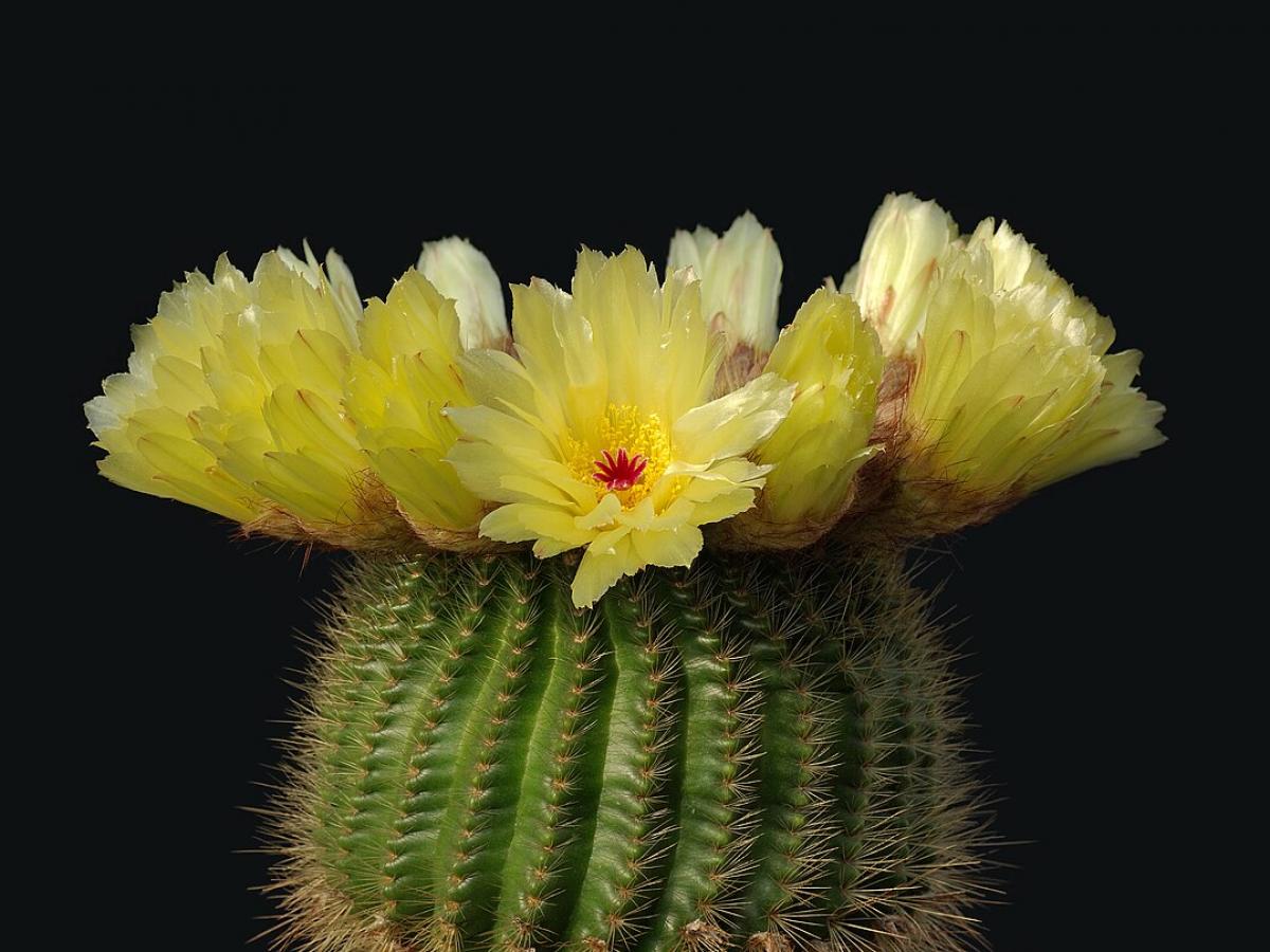 Мария Погребняк раскрыла детали личной жизни и отношений с Павлом Погребняком