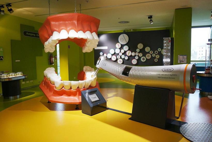Salzburg Haus der Natur dentist
