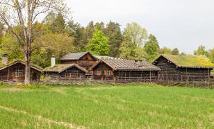 Самый доступный участок земли в Московской области обойдётся покупателю в 100 тысяч рублей