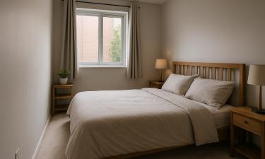 Сон портит не стресс, а углекислый газ: почему важно проветривать спальню перед сном