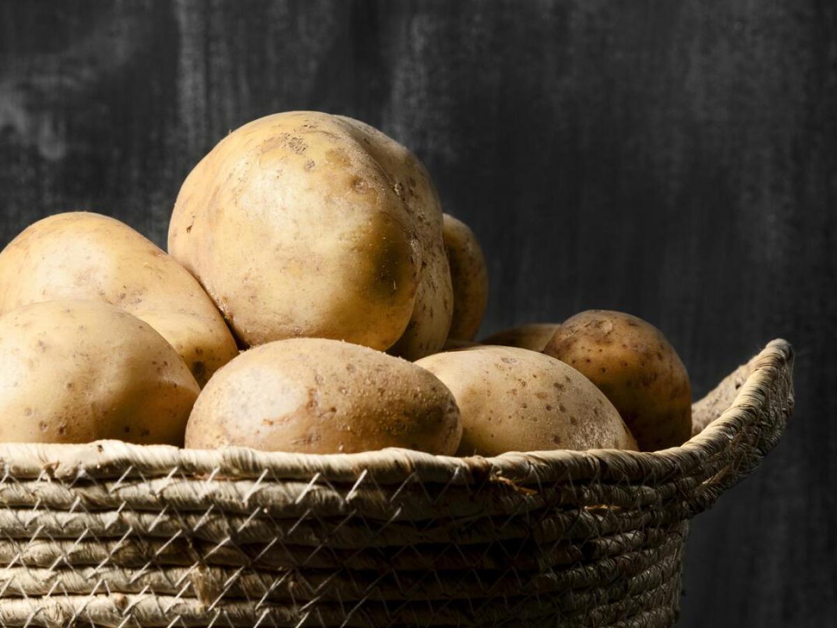 Картофельный эксперимент: Белоруссия отправит 15 новых сортов на Сахалин