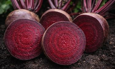 Свёкла как с картинки: без колец, тёмная и сладкая — сорт решает всё