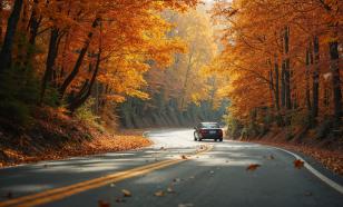 Осень на дороге: как избежать неприятностей с лужами