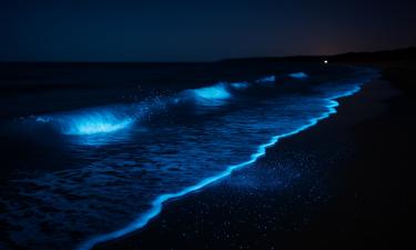 Невидимая сила сдувает воду с побережья: секреты, которые хранит Азовское море