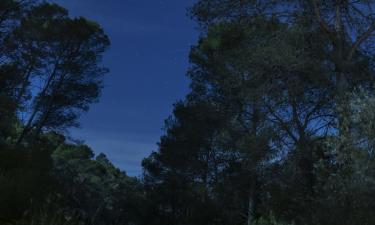 Тихий голос, страшная власть: почему триллер Голосовой помощник бьёт по нервам сильнее Пилы