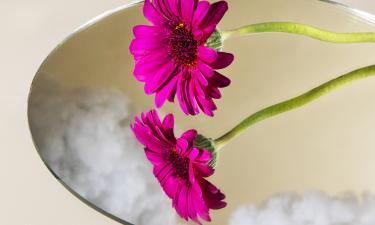 Зеркало решило всё за них: новая мистическая мелодрама Сводишь с ума переворачивает реальность