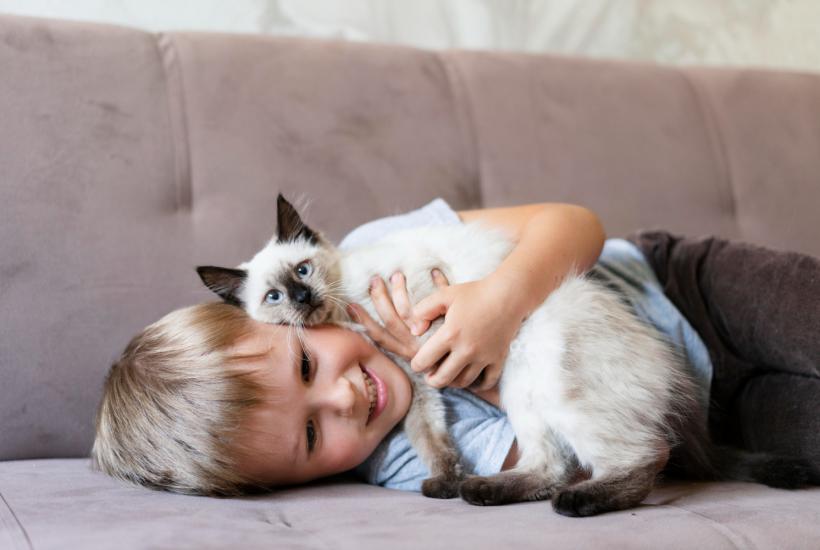 Кошка и ребёнок Кошка и ребёнок